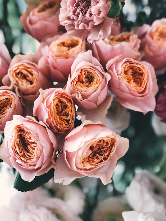 Beautiful pink roses in a classic arrangement, perfect for weddings or anniversaries.