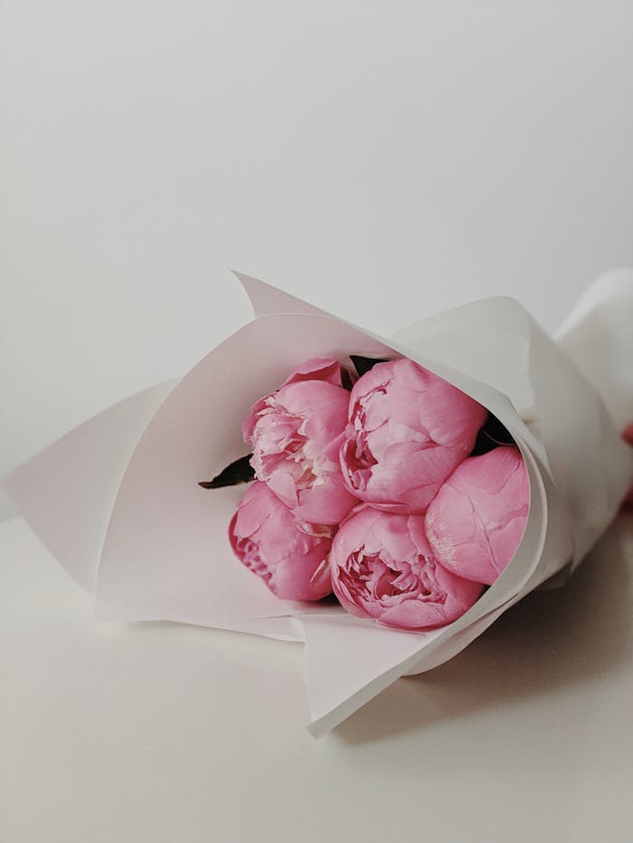 A delicate bouquet of pink peonies elegantly wrapped in white paper for weddings and special occasions.